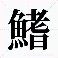 鰭