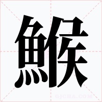 鯸