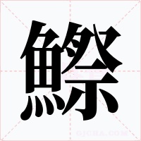 鰶