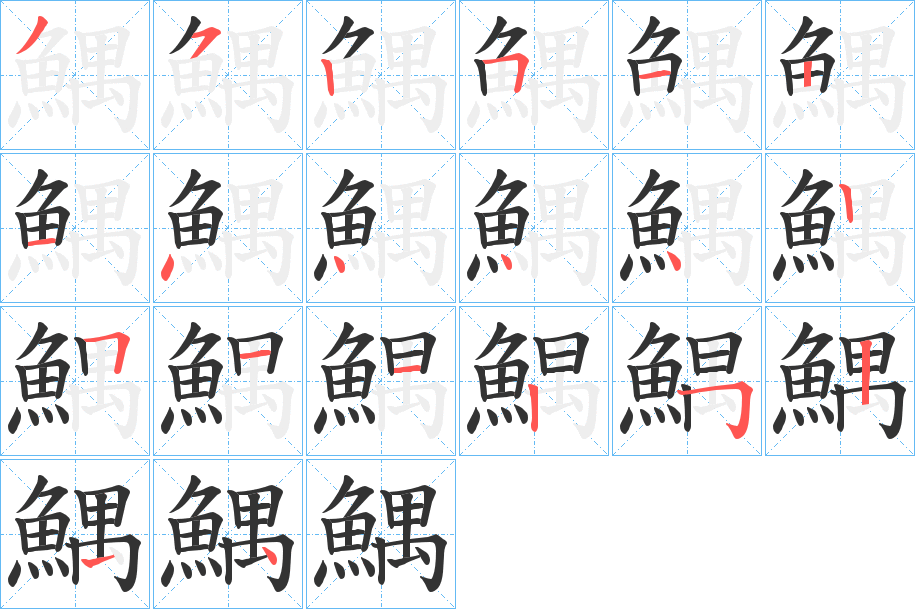 鰅的笔顺写法