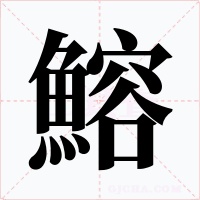 鰫