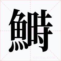 鰣