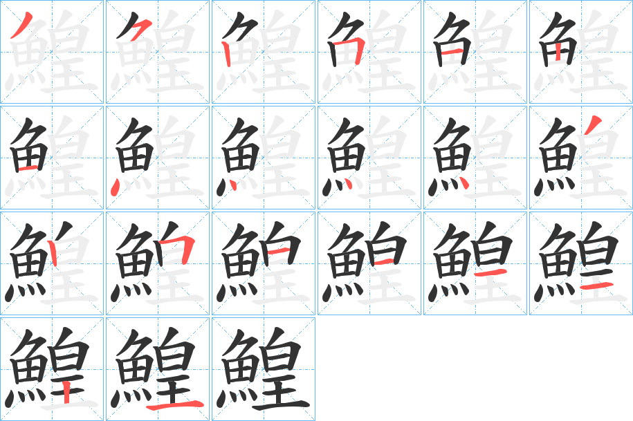 鰉的笔顺写法