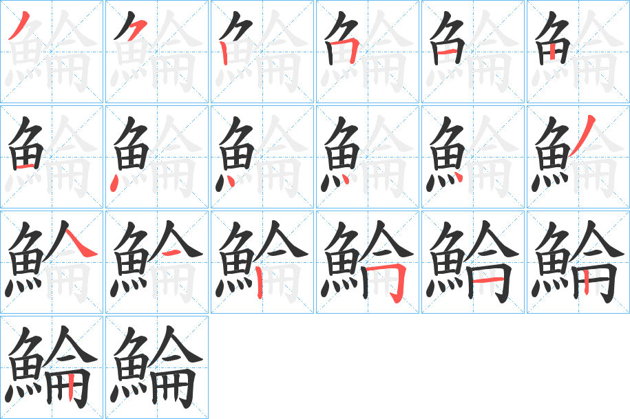 鯩的笔顺写法