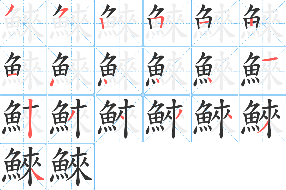 鯠的笔顺写法