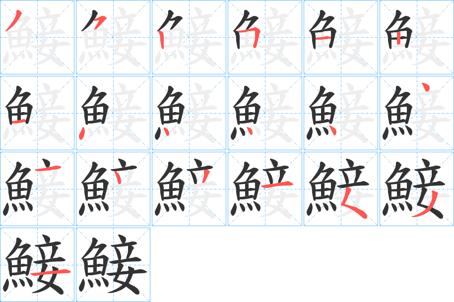 鯜的笔顺写法