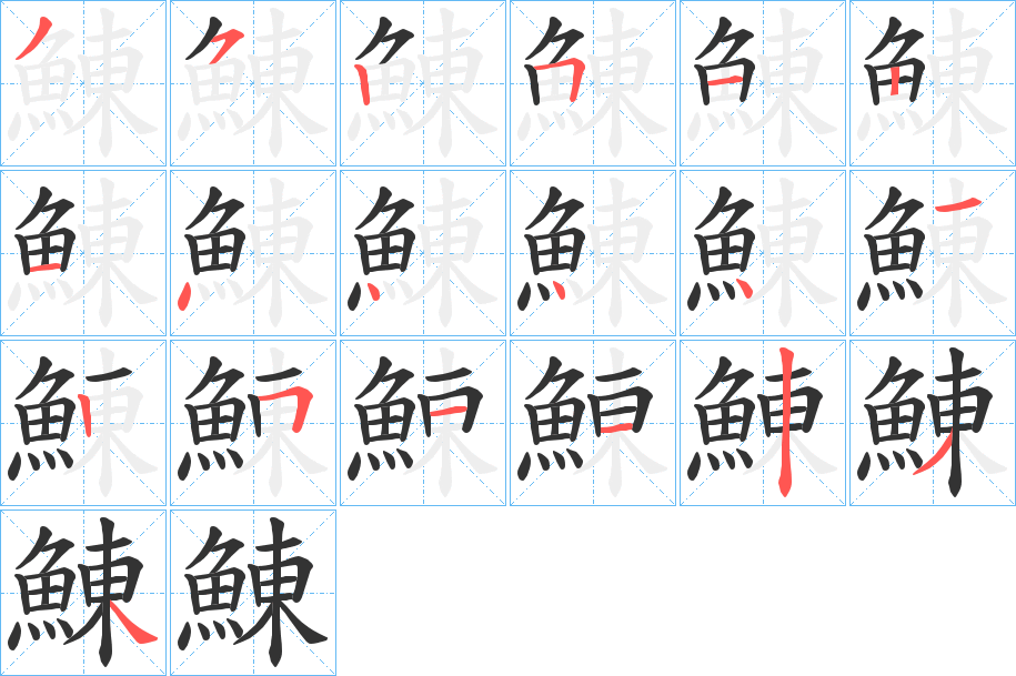 鯟的笔顺写法