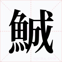 鯎