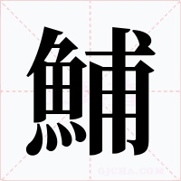 鯆