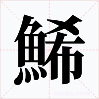 鯑