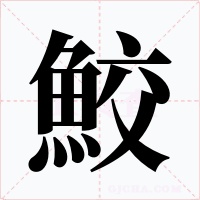鮫
