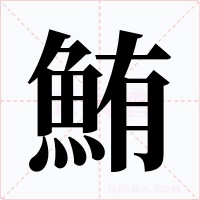 鮪