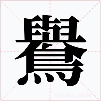 鸒
