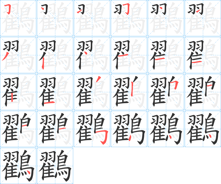 鸐的笔顺写法