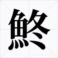 鮗