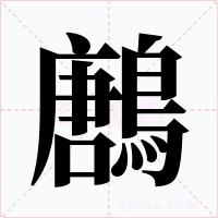 鶶