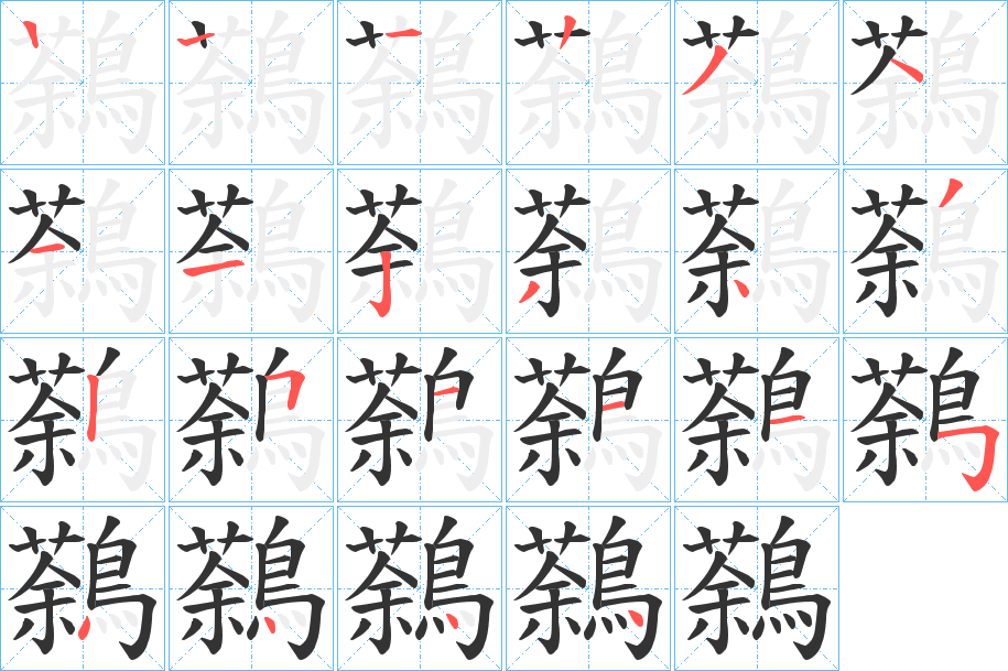 鷋的笔顺写法
