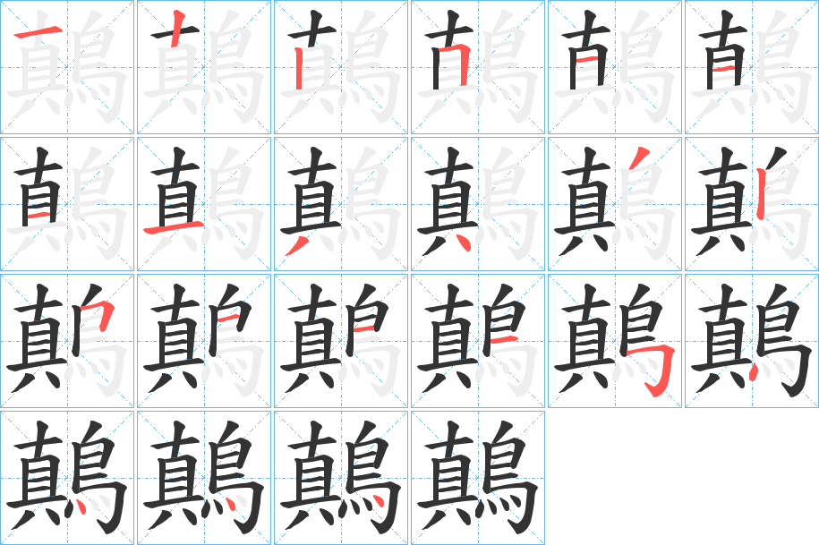 鷏的笔顺写法