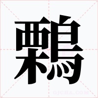 鷅