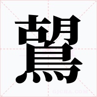 鶦