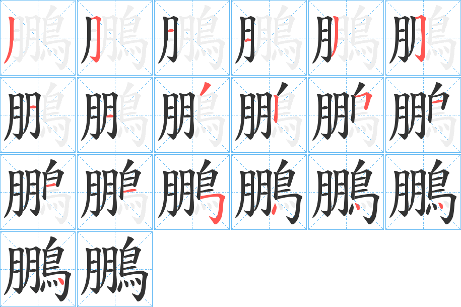 鵬的笔顺写法