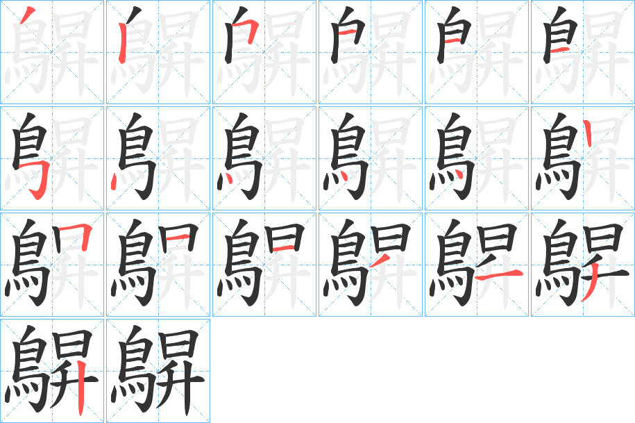 鵿的笔顺写法