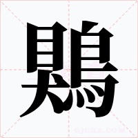 鶪