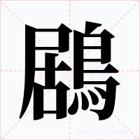 鶋