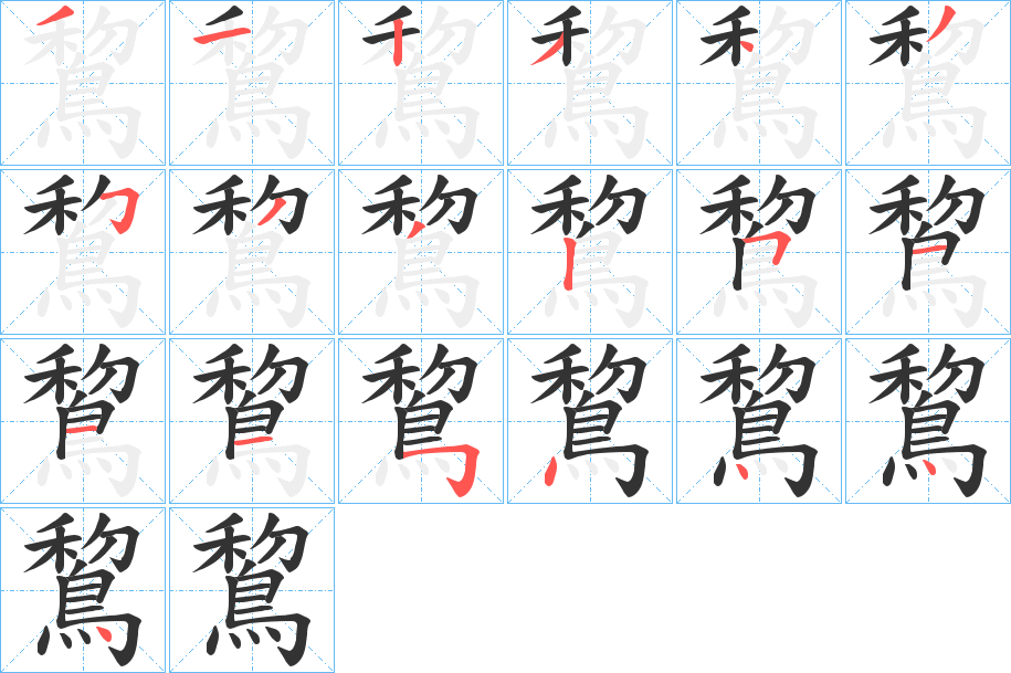 鵹的笔顺写法