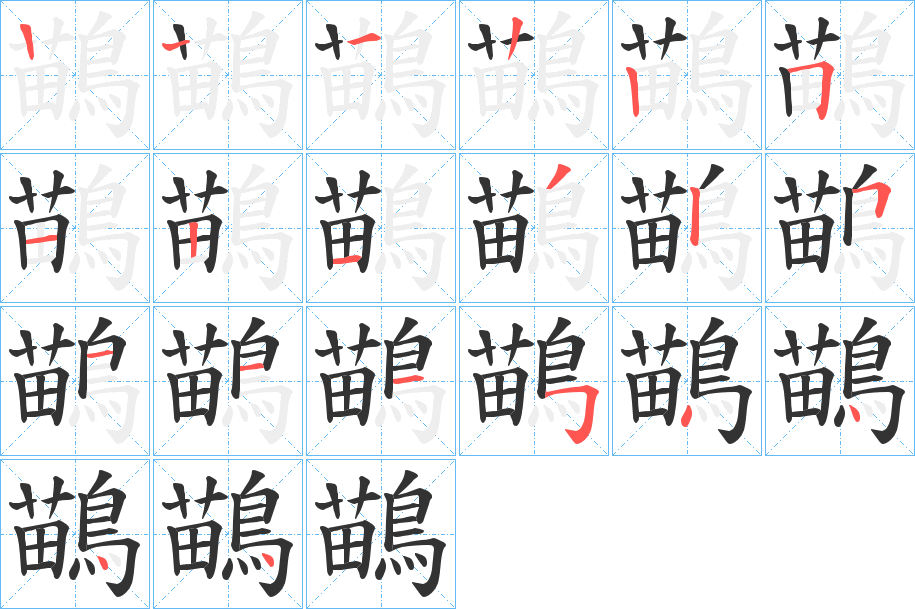 鶓的笔顺写法