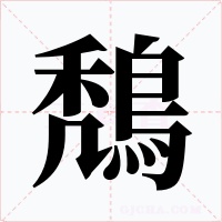 鵚
