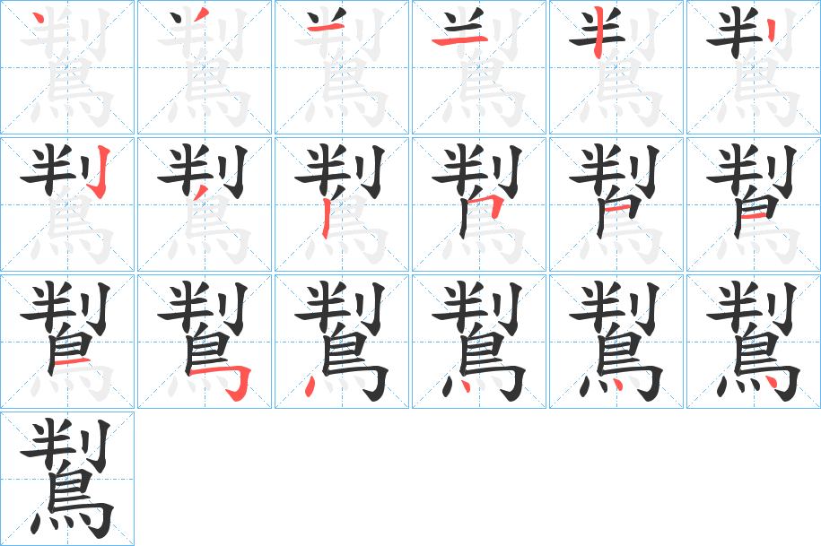 鵥的笔顺写法