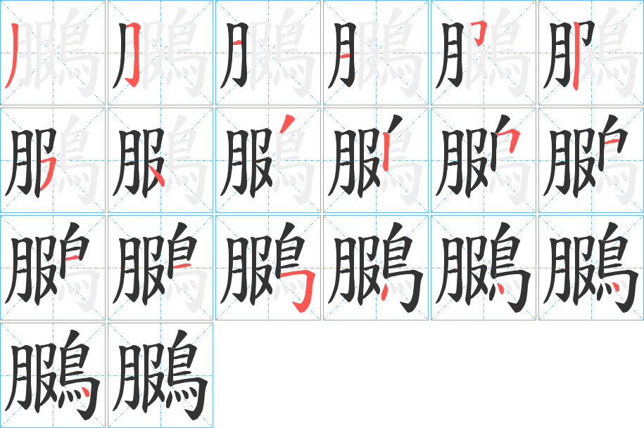 鵩的笔顺写法