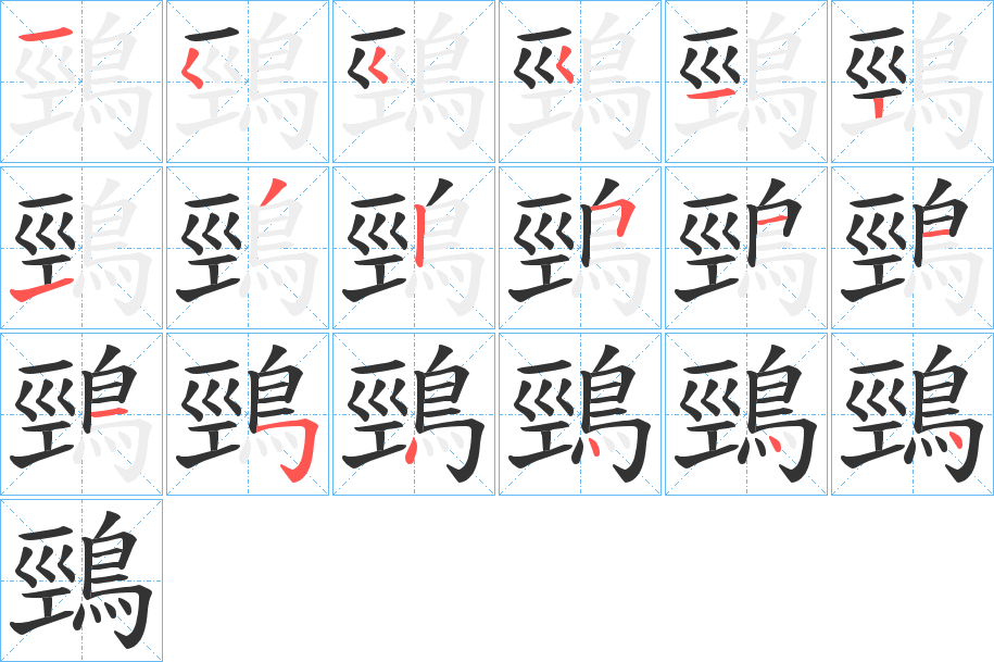 鵛的笔顺写法