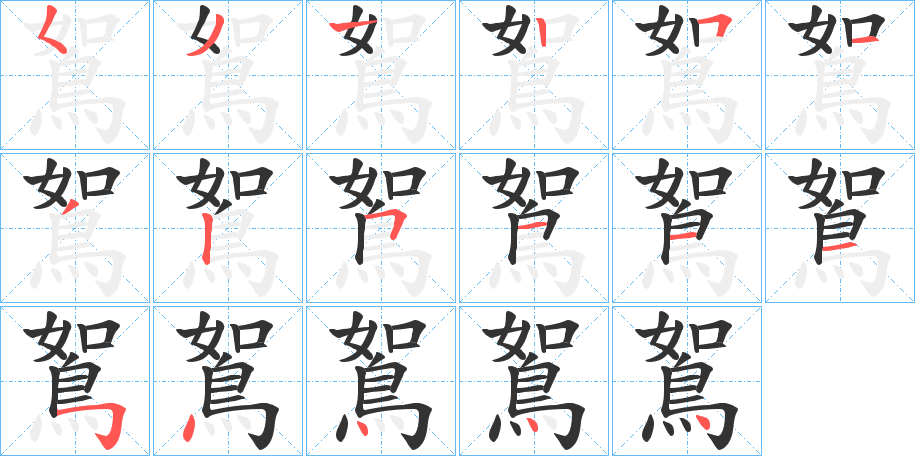 鴽的笔顺写法