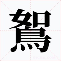 鴽