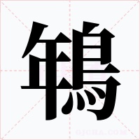 鵇
