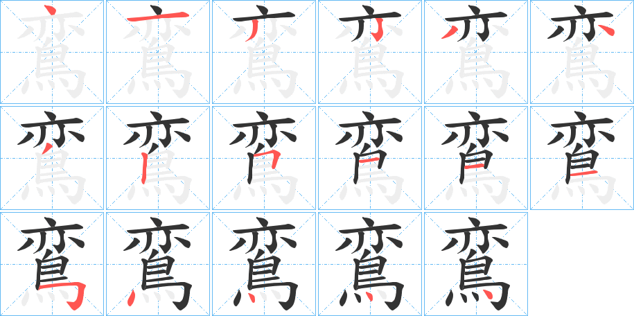 鵉的笔顺写法