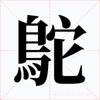 鴕
