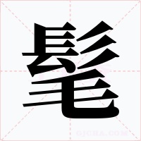 髦