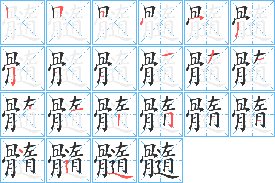 髓的笔顺写法