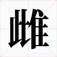 雌