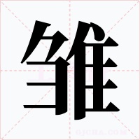 雏