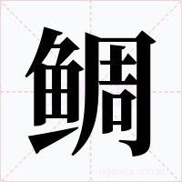 鲷