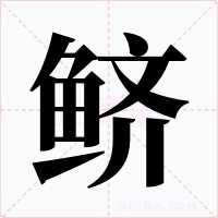 鲚