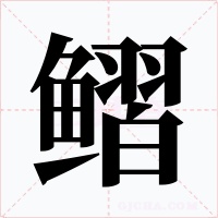 鳛