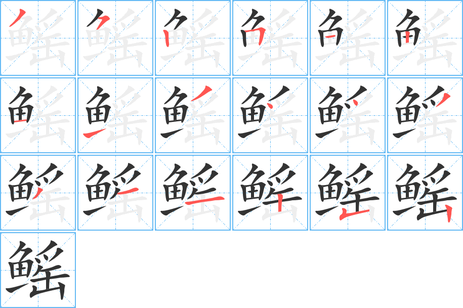 鳐的笔顺写法