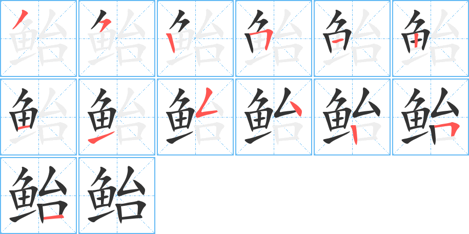 鲐的笔顺写法