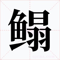鳎