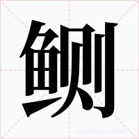 鲗